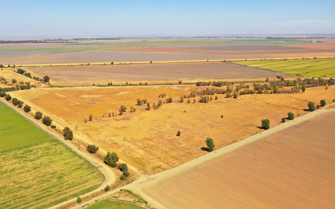 BARRIOS DUCK CLUBZAMORA AREA, CA | 94 ACRES(SOLD) $650,000