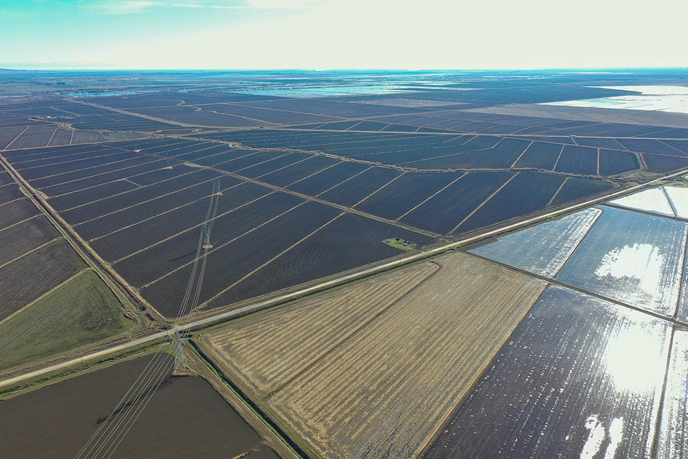 Full aerial view of San Jose Rice Ranch fields