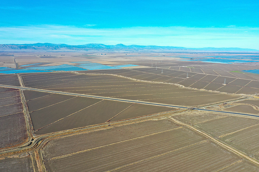 San Jose Rice Ranch aerial view of fields