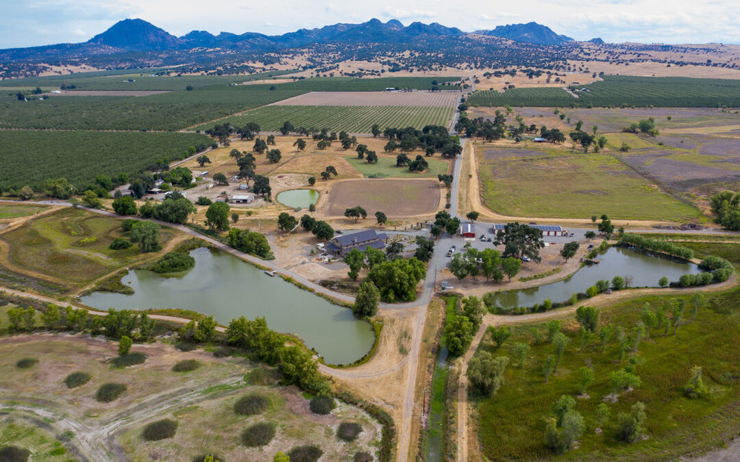 GREY LODGE FARMSBUTTE SINK, CA    |    ±430 ACRES(SOLD) $4,950,000