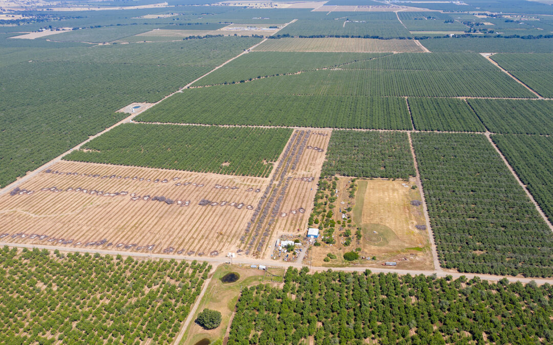 MED FARMS ALMOND RANCHARBUCKLE, CA    |    ± 88.67 ACRES(SOLD) $2,599,000