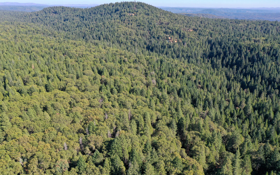 CAL NEVA RANCHNEVADA CITY, CA    |    ± 15.34 ACRES(SOLD)