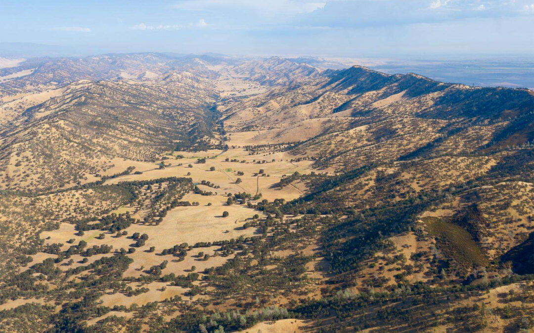 TURKEY TRACK RANCHWILLIAMS, CA    |    ± 2,575.5 ACRES(SOLD) $2,250,000