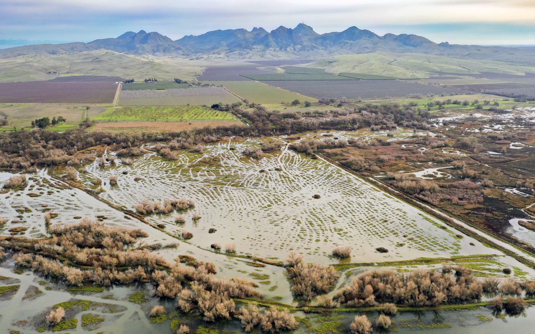 STACK FARMSBUTTE SINK, CA    |    ±201 ACRES$950,000 (SOLD)