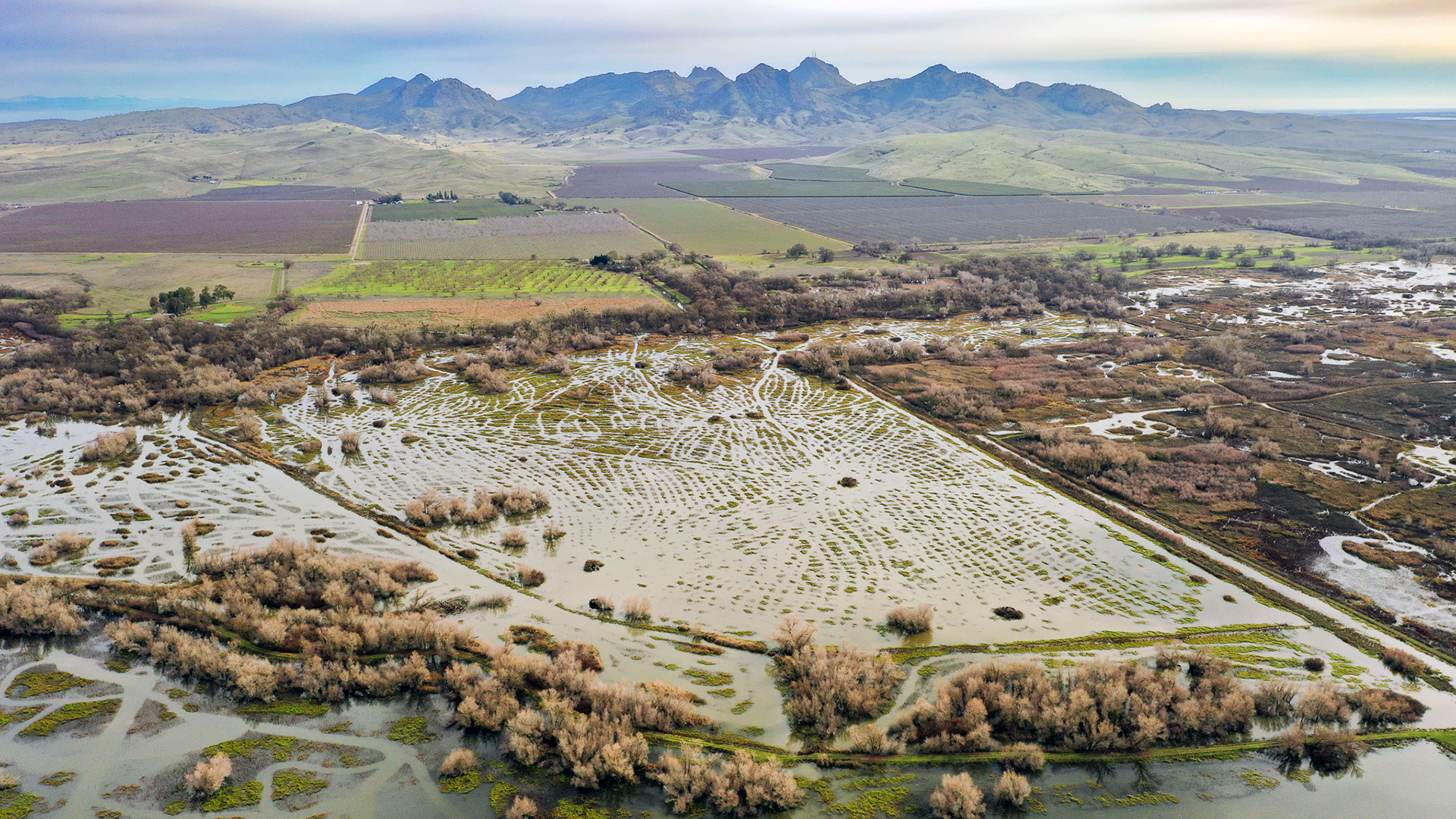 Arial picture overlooking wetland of Stack Farms duck club in the Butte Sink California