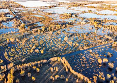 THE BRADY RANCH 2BUTTE SINK, CA    |    ± 929 ACRES$750,000