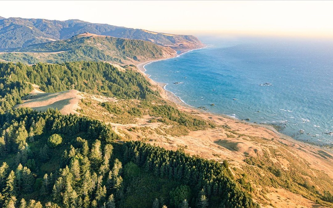 LOST COAST OCEAN RANCHFERNDALE, CA  | ±788 ACRES$9,950,000