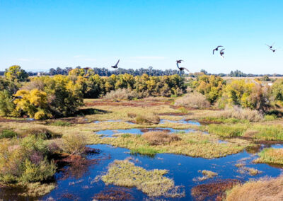 TYLER ISLAND HABITATISLETON, CA  | ±814 ACRES$525,000