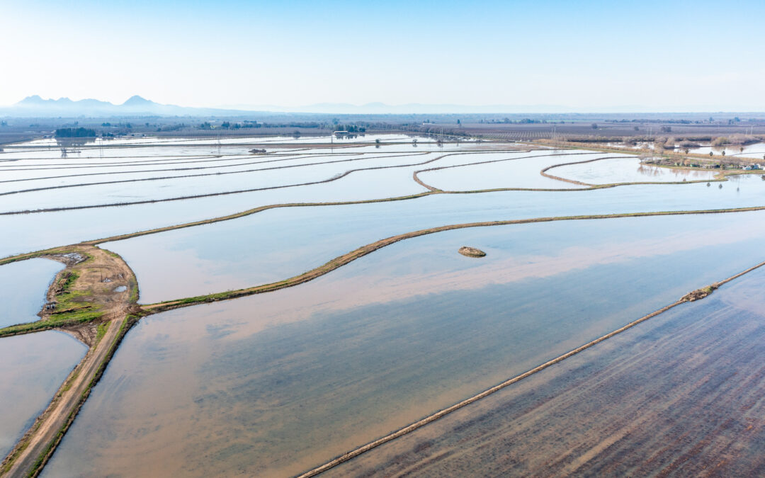 ALOHA FARMSDISTRICT, CA    |    ± 491.41 ACRES$9,828,200