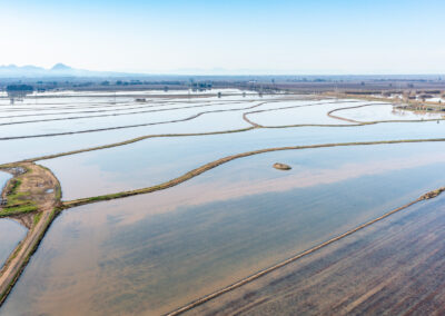 ALOHA FARMSDISTRICT 10, CA    |    ± 491.41 ACRES$9,828,200