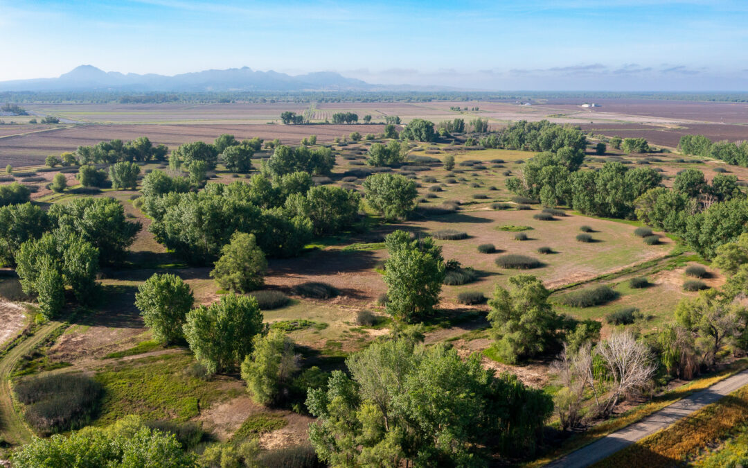 BUTTE SINK RICE RANCHBUTTE SINK, CA    |    ±293 ACRES$4,900,000