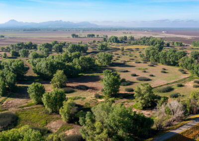 BUTTE SINK RICE RANCHBUTTE SINK, CA    |    ±293 ACRES$4,900,000
