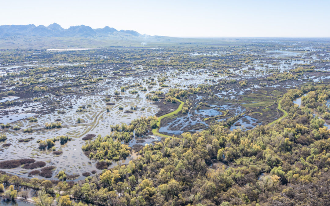 FIELD & TULE 1BUTTE SINK, CA    |    ±606 ACRES$400,000 (PENDING)