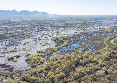 FIELD & TULE 1BUTTE SINK, CA    |    ±606 ACRES$400,000 (PENDING)