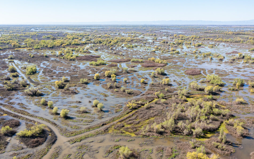 FIELD & TULE 2BUTTE SINK, CA    |    ±606 ACRES$400,000