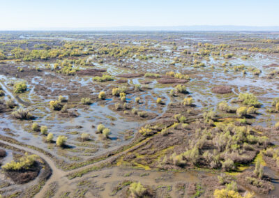 FIELD & TULE 2BUTTE SINK, CA    |    ±606 ACRES$400,000