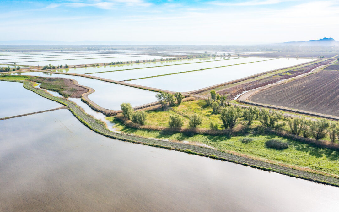 LURLINE AVE. RANCHCOLUSA, CA    |    ±105 ACRES$1,095,900