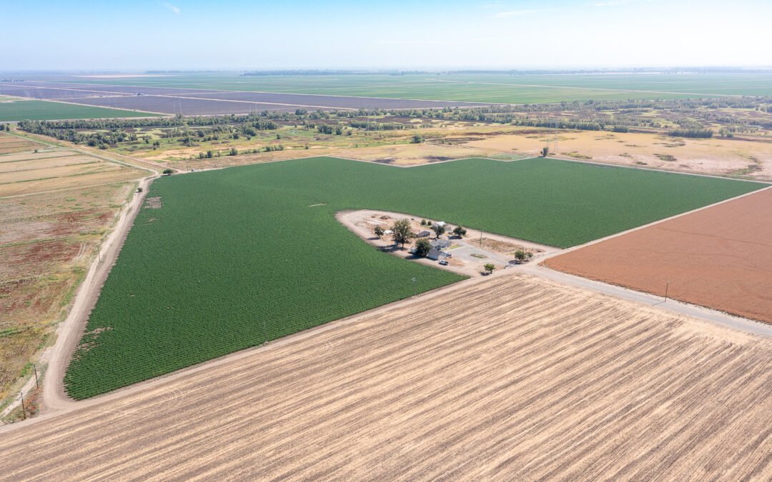DEAD END DUCK CLUBDISTRICT 10, CA    |    ± 95 ACRES$995,000