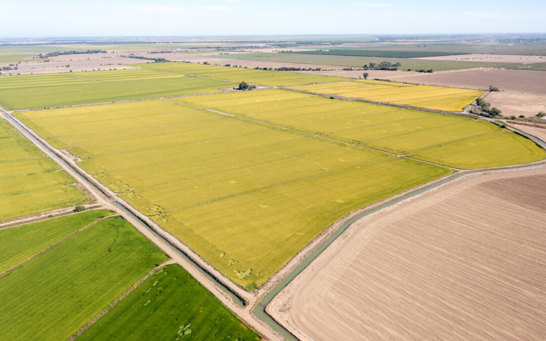 OHM ROAD RICE RANCHCOLUSA, CA    |    ± 191 ACRES$2,104,630