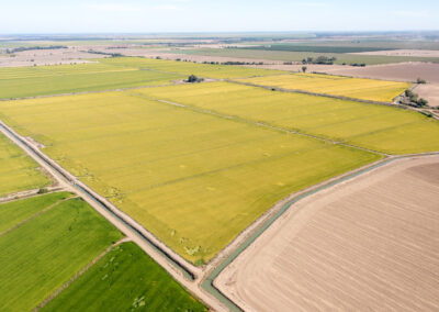 OHM ROAD RICE RANCHCOLUSA, CA    |    ± 191 ACRES$2,104,630